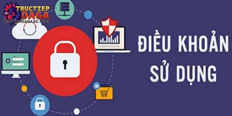 Điều Khoản Điều Kiện