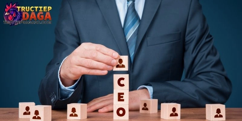 ceo đá gà trực tiếp 1 CEO đá gà trực tiếp