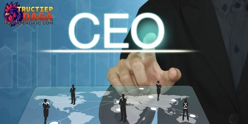 ceo đá gà trực tiếp 3 CEO đá gà trực tiếp