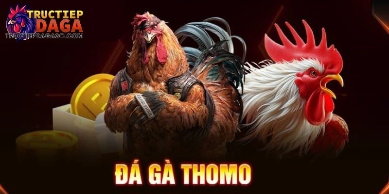 TRỰC TIẾP ĐÁ GÀ 3C 2 trực tiếp đá gà c3